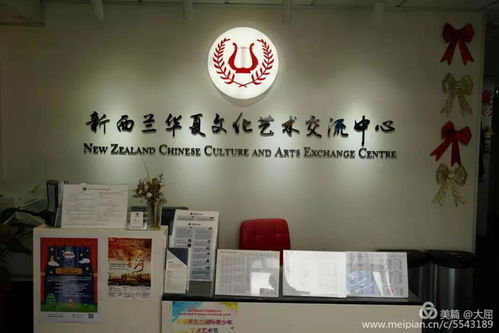 驰援中华，共筑文化桥梁 新西兰华夏文化艺术交流中心与新西兰文化艺术基金会的全力奉献